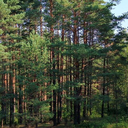 Apartamentai Laima Druskininkai Dış mekan fotoğraf
